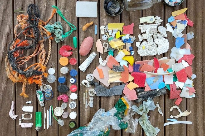 A colourful array of plastics collected from beaches.