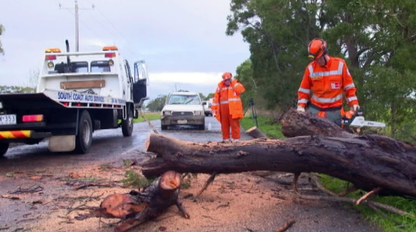 SES workers cutting up fallen tree at Broadwater.