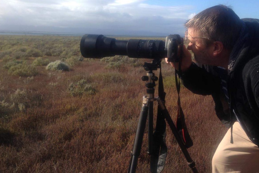 amateur photographer looks through lens