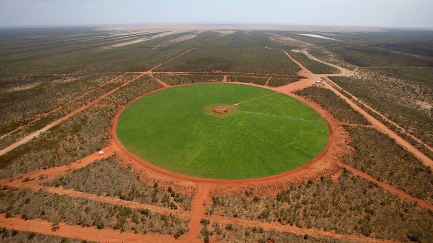 An aerial view of a large green circle of grass watered by centre pivot irrigation in the Pilbara.