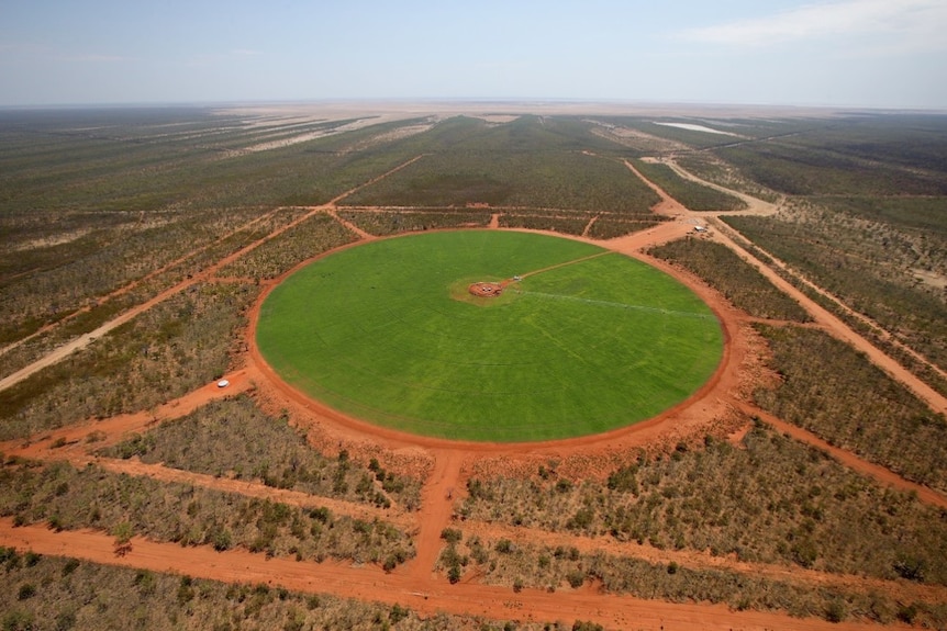 An aerial view of a large green circle of grass watered by centre pivot irrigation in the Pilbara.