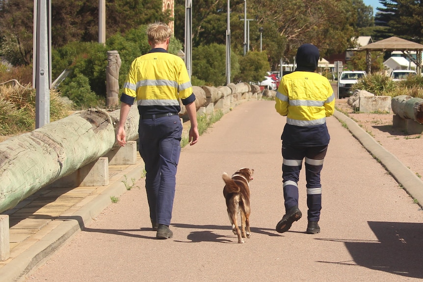 The pair are pictured from behind with a dog in between them, walking on a footpath