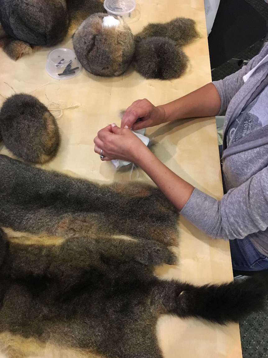 Bernadette Atkinson demonstrates making a Marngrook ball from possums
