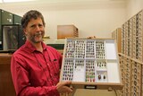 Dr Simon Grove holding a tray of Christmas beetles