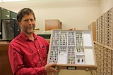 Dr Simon Grove holding a tray of Christmas beetles