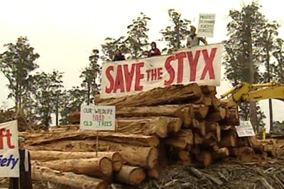 A logging operation in Australia