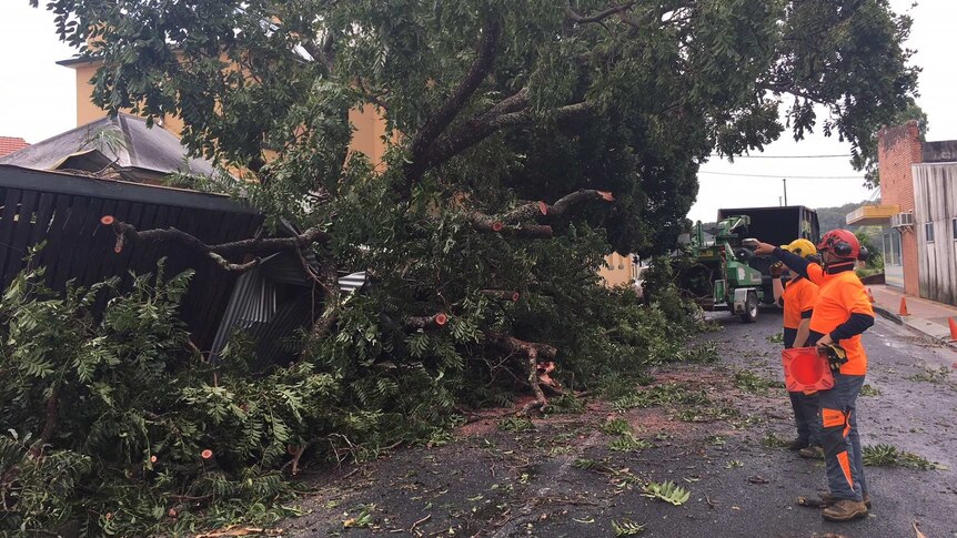 The storm wreaked havoc in the Maclean CBD, including bringing down huge trees.
