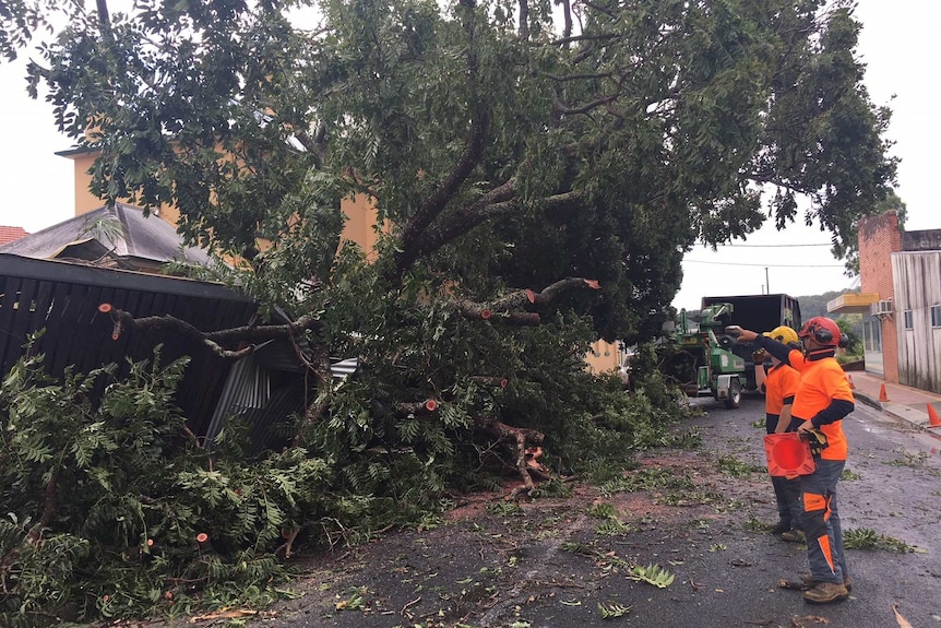 The storm wreaked havoc in the Maclean CBD, including bringing down huge trees.