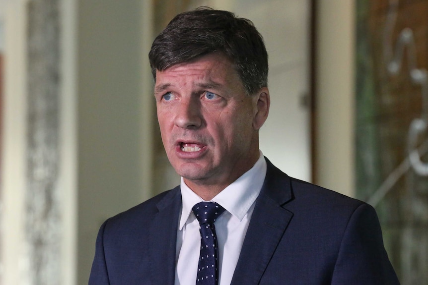 Angus Taylor speaks in the mural hall at Parliament House.