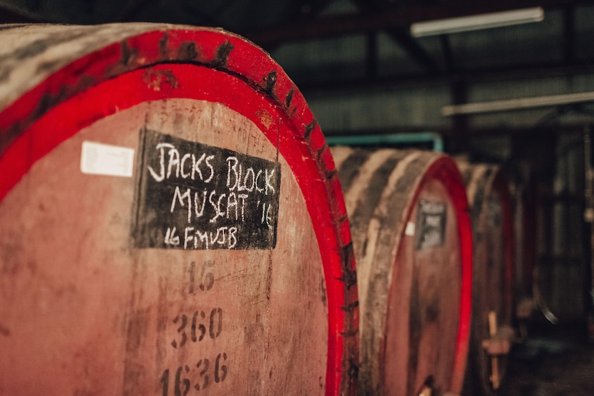 Wine barrels 