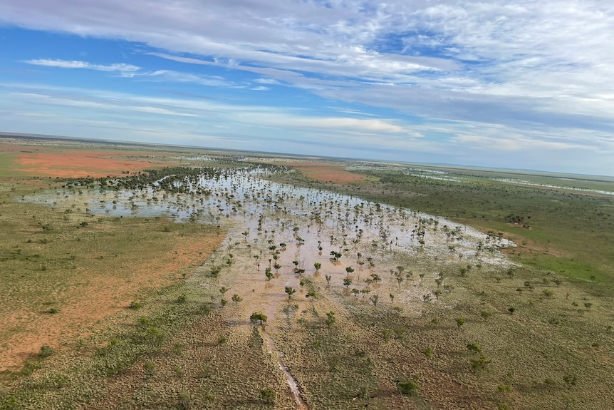 Floodwaters spreading out over pastures in the outback.