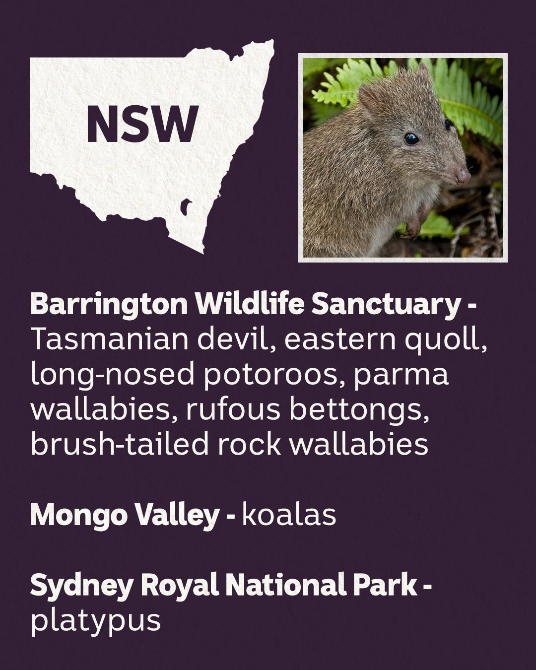 Some of the rewilding projects in NSW.