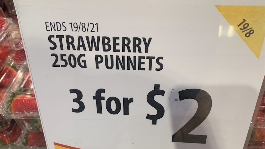 Strawberry growers' plea as lockdowns cause price of a punnet to plummet