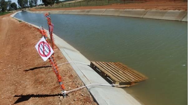 Kangaroo pontoon in irrigation canal near Lake Wyangan in NSW