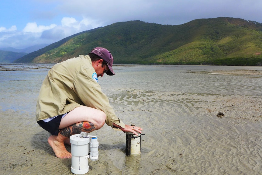 Mick Hale monitoring the sediment deposits on a once healthy sea grass bed at Archer Point, near Cooktown