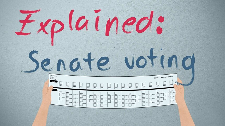 Senate voting explained