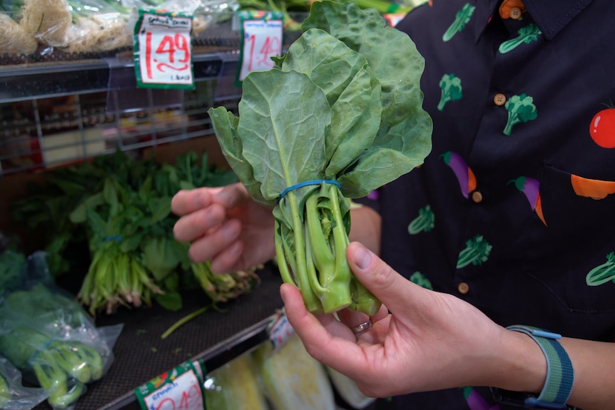 A man wearing a black shirt with drawings of vegetables on it stands in a green grocer aisle holding gai lan.