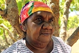 Image of an Indigenous woman wearing a stripey t-shirt and a colourful bandana. She's standing in front of a tree.