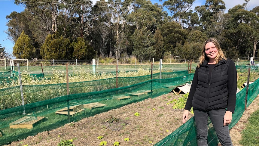 Nicole Huisman is standing in front of garden plots where she hopes to breed  up to 200,000 snails for her Tascargot business.