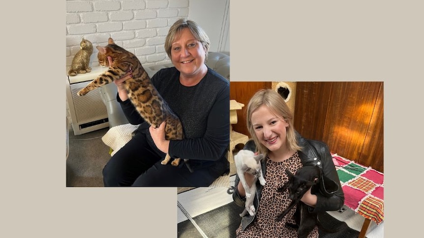 Two women holding three very different cats.