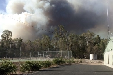 Thick black smoke rises above trees near a building.