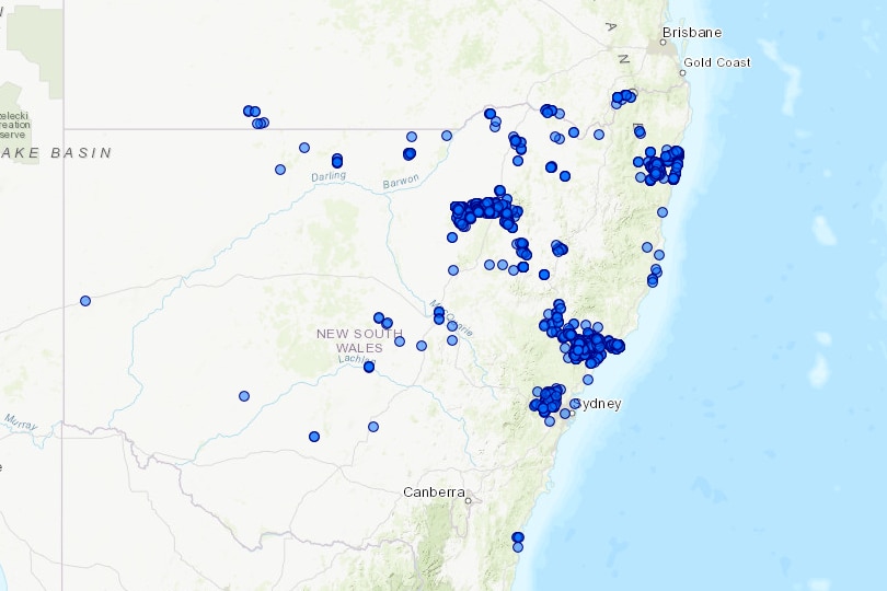 Map of NSW with blue dots indication distribution of Mother of millions across the state