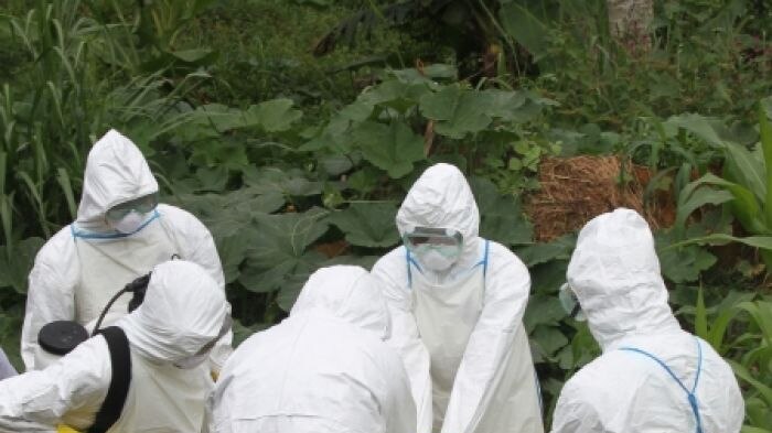 Doctors Without Borders condemns global response to Ebola