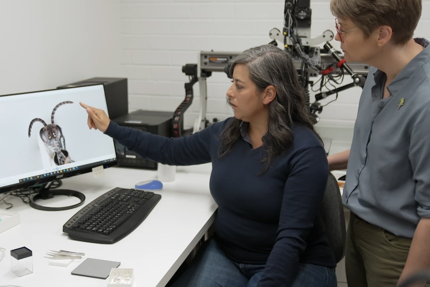 Dr.  Rodriguez points to the insect on the computer screen