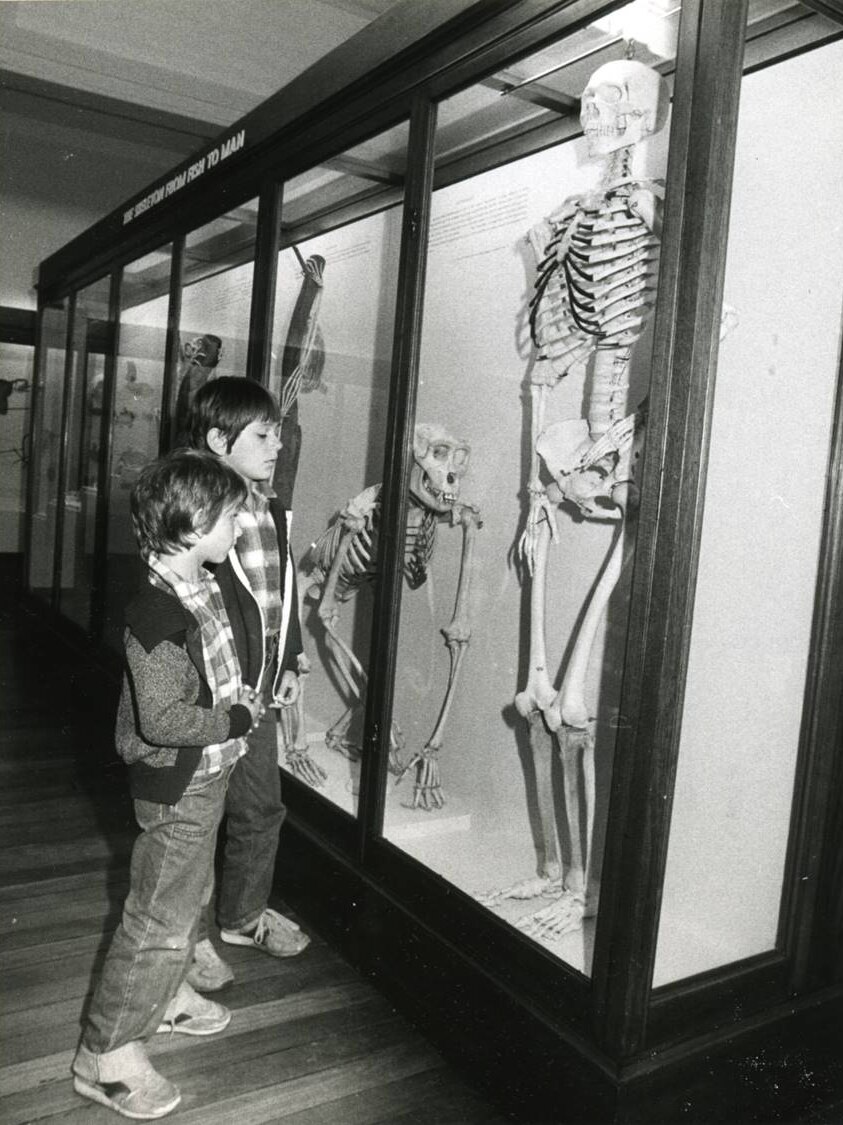 Children at the Institute of Anatomy