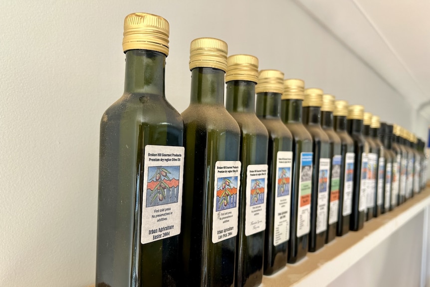 Bottles of oil lined up in a row on a shelf. 