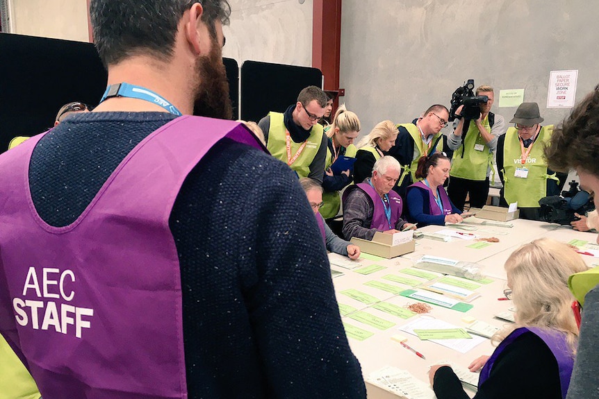Australian Electoral Commission staff in purple vests sit at a table counting votes as other people in green vests watch over.