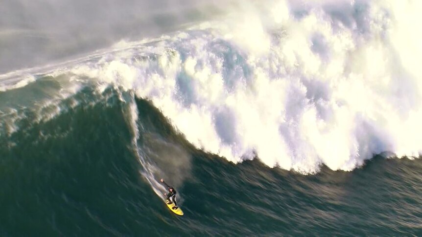 Huge swell gifts rare opportunity for Sydney's big wave surfers - ABC News