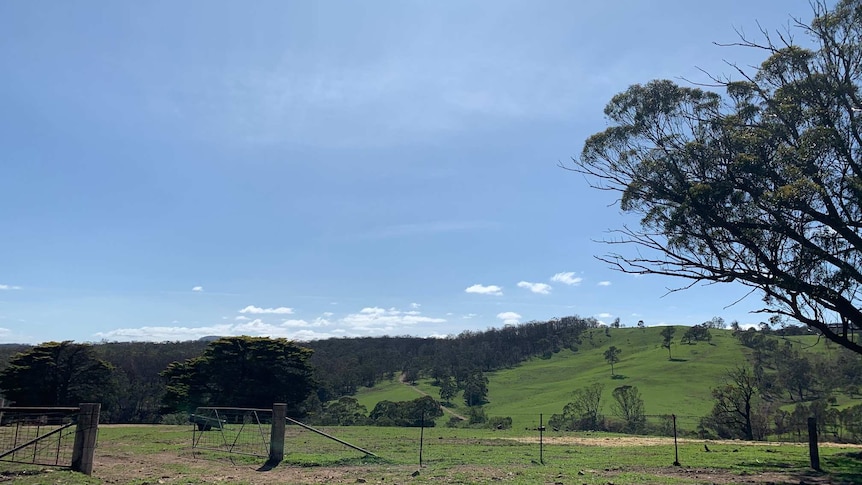 Looking out across the Burragorang Valley