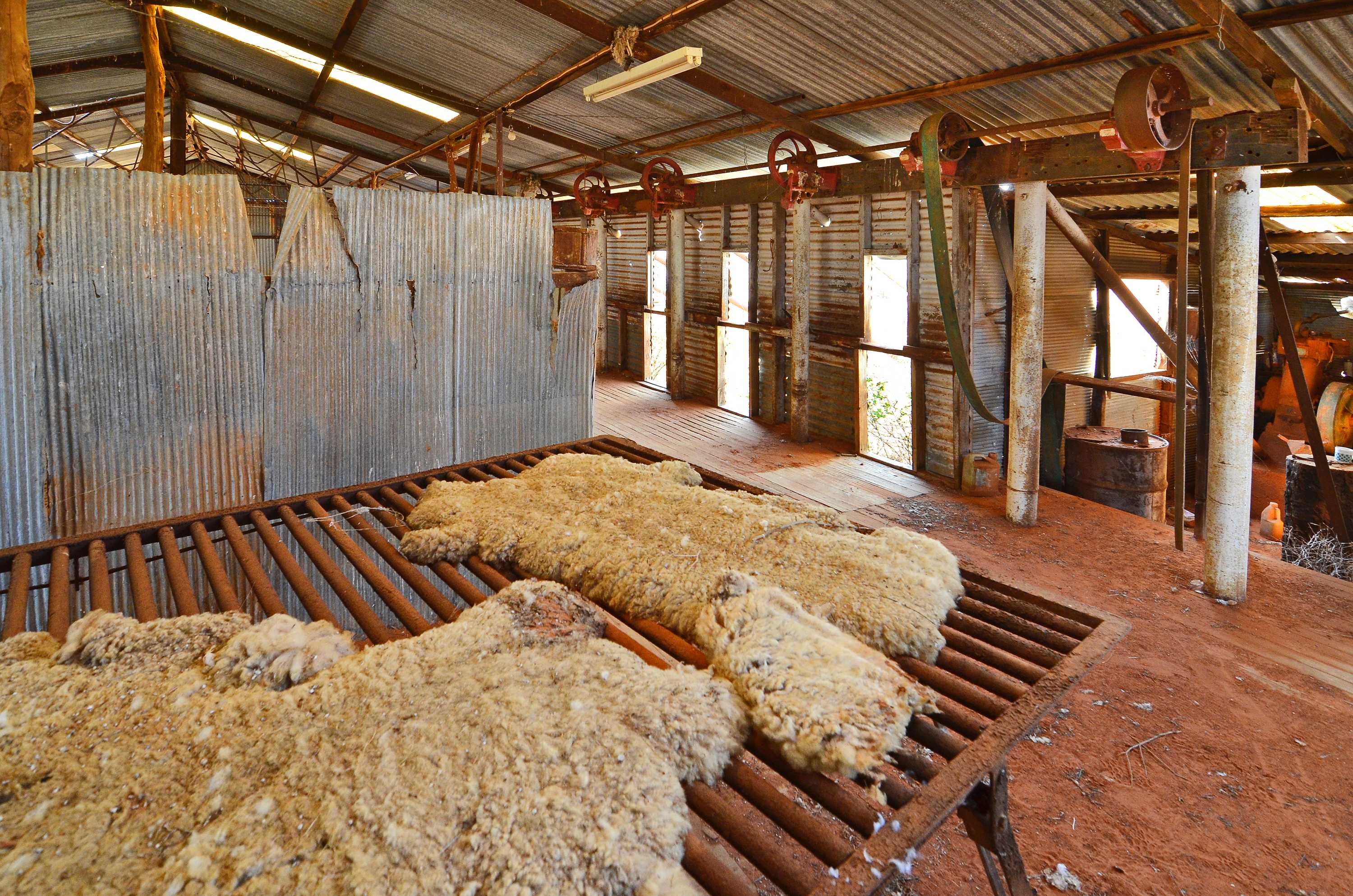 Swings and roustabouts: the life and times of a shearer and his ...