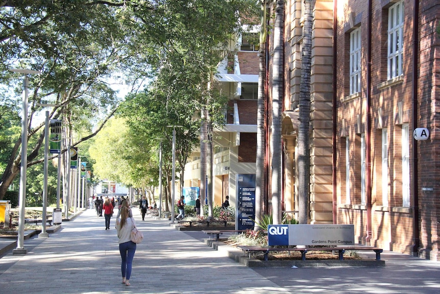 A student walks down a path at a university campus