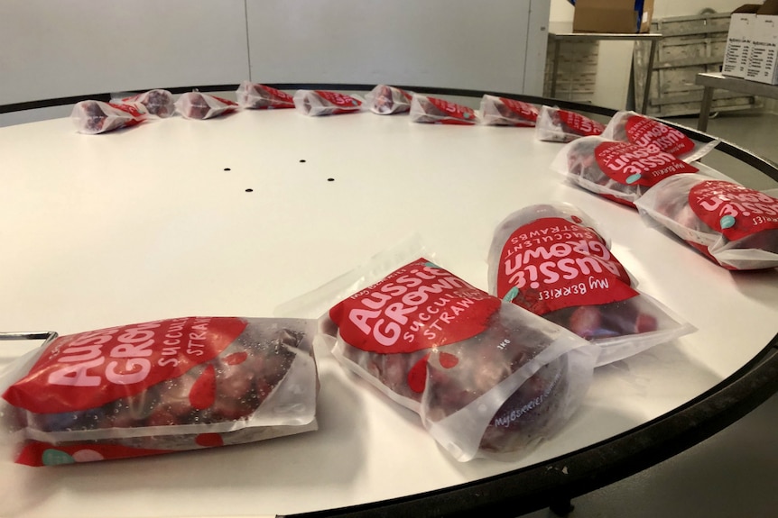 Packets of frozen strawberries on a circular table in the production plant.