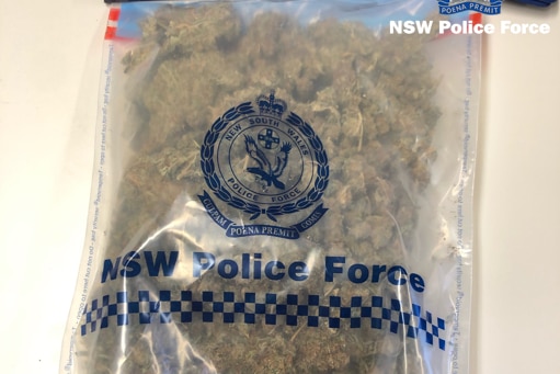 Bag of Cannabis Seized during a raid June 2021