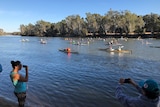 Paddlers in kayaks on the Murray River