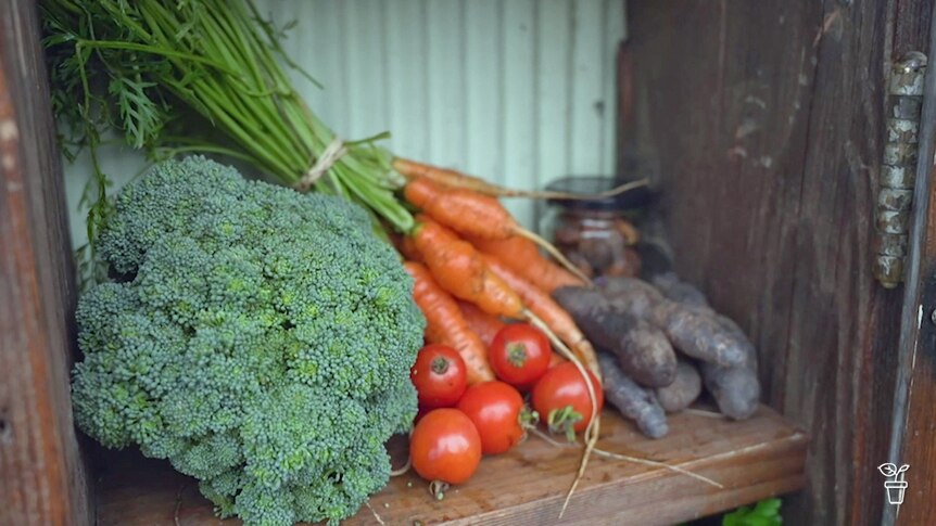 Vegetables in a wooden cupboard in a garden.