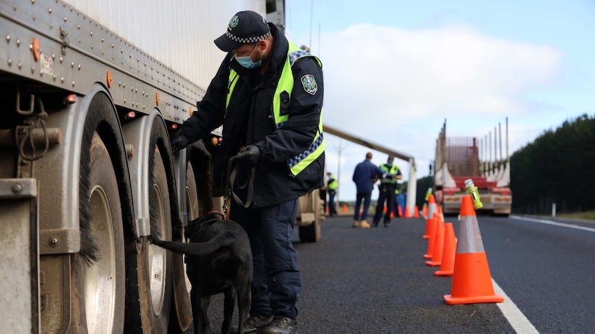 A police officer wearing a face masks looks behind the tyre of a parked truck on a road