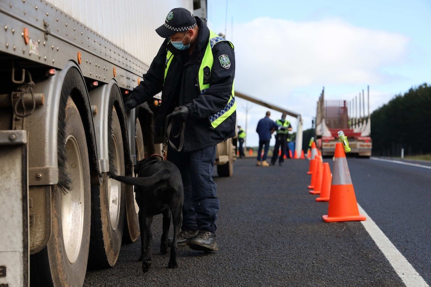 A police officer wearing a face masks looks behind the tyre of a parked truck on a road