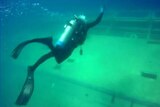 A diver explores the ex-HMAS Tobruk dive site off the coast of Bundaberg.