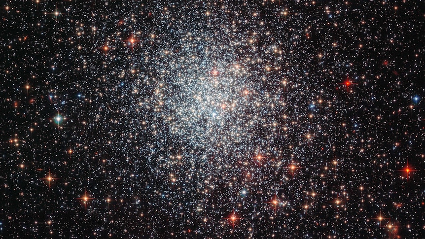 Globular Star Cluster NGC 1783 in the Large Magellanic Cloud taken by the Hubble Space Telescope.