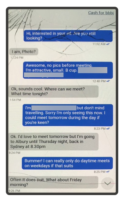 425px x 674px - Nationals MP Michael Johnsen exchanged lewd messages with sex worker during  NSW Question Time - ABC News