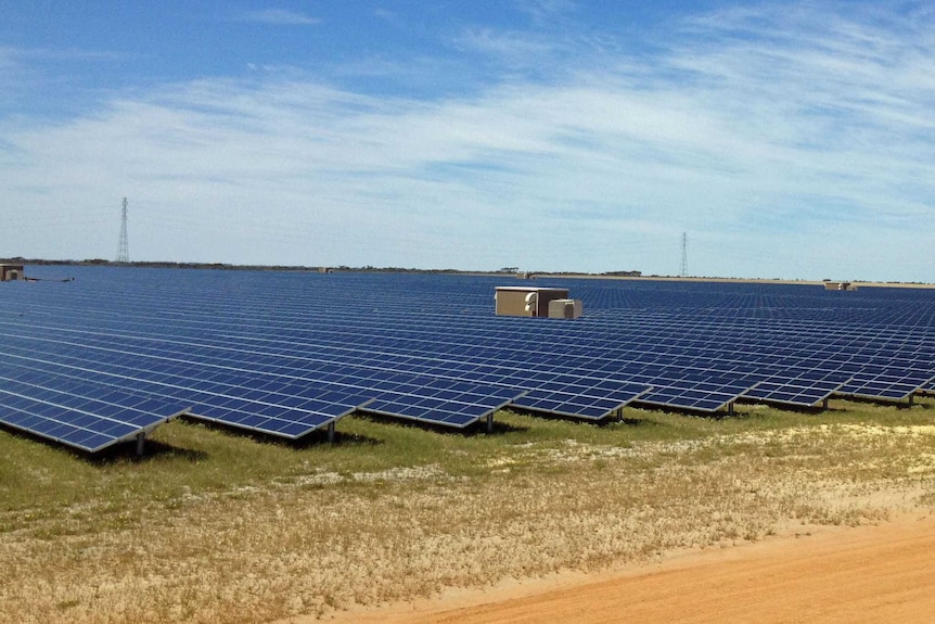 A wide shot of rows and rows of solar farm panels on the ground at a solar farm under a blue sky.