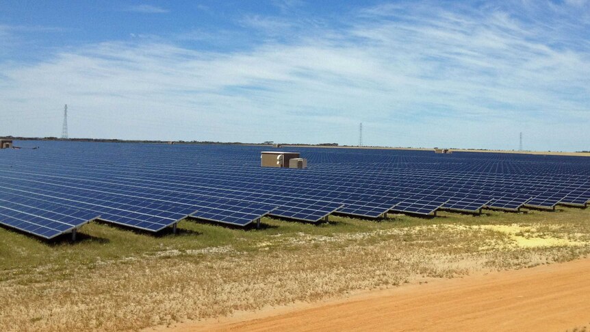 A wide shot of rows and rows of solar farm panels on the ground at a solar farm under a blue sky.