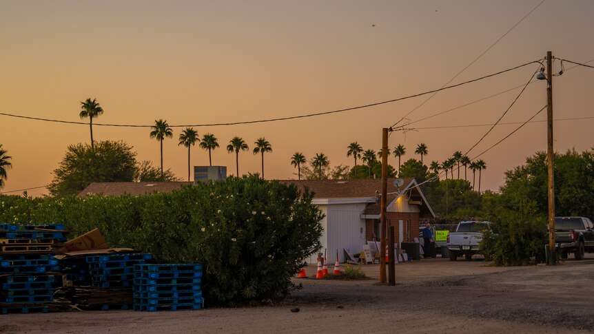 The sun goes down filling the sky with pale orange light, over a suburban scene with palm trees dotting the horizon