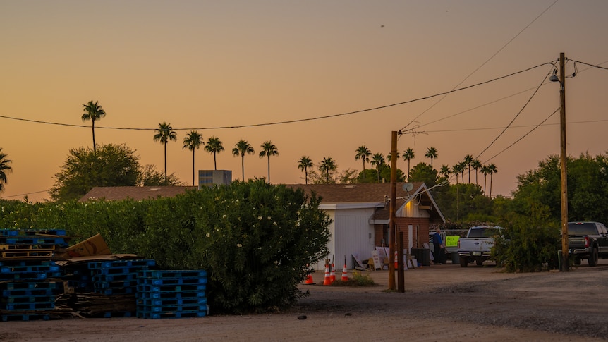 The sun goes down filling the sky with pale orange light, over a suburban scene with palm trees dotting the horizon