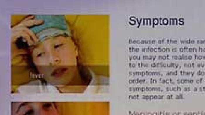 Screen shot of meningococcal disease website