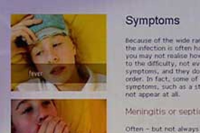 Screen shot of meningococcal disease website